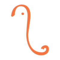 African Bush Camps Logo