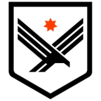 All Pro Security Logo