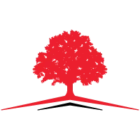 Alnus Yatirim Logo