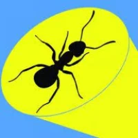 Antman Pest Control Logo