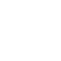 Apex Neural Logo