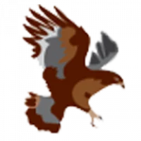 Ardnamurchan Logo