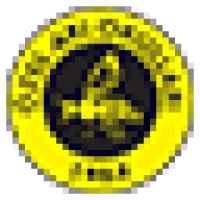 Arı Schools Logo