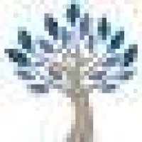 Austin Jewish Academy Logo
