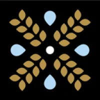 Backecht Logo