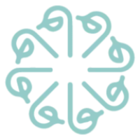 Baja Expeditions Logo