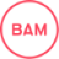 BAM Strategy Logo