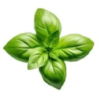 Basil Leaf Thai Logo