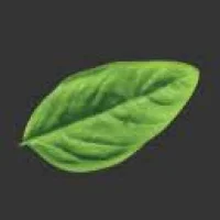 Basil Thai Cuisine Logo