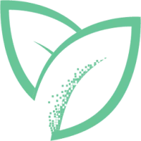 Bay Leaf Digital Logo