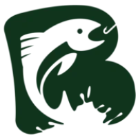 Bayou Adventure Logo