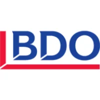 BDO IT Logo