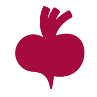 Beetroot Academy Logo