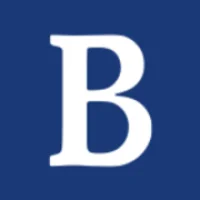 Berenschot Logo