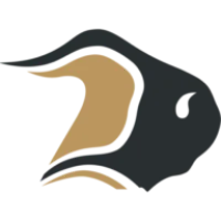 Bison Transport Logo