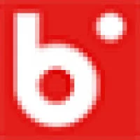 Bitwise Inc Logo