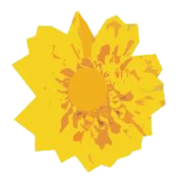 Bloom Montessori School Logo