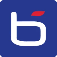 Blue Chip IT Logo