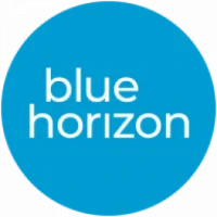 Blue Horizon Consultants Logo