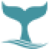Blue Ocean Whale Watch Logo
