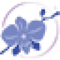 Blue Orchid Thai Logo