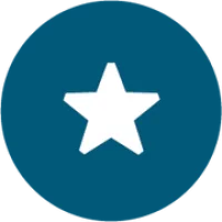 Blue Star Donuts Logo