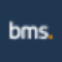BMS Group Logo