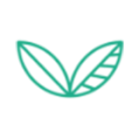 Bouldin Creek Cafe Logo