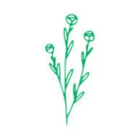 Bread Flower Logo