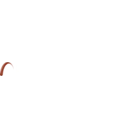 Bridge Tech Solutions Logo