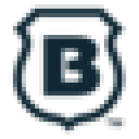 Brinks Home Logo