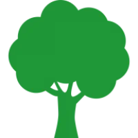 Brisbane Tree Experts Logo