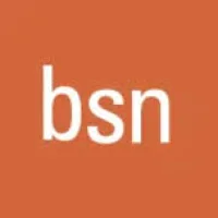 Business School Netherlands Logo