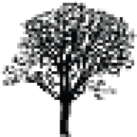 C&C Tree Service Logo