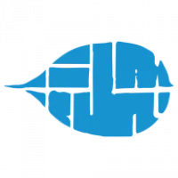 Cerulean Logo