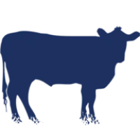 Charro Steak & Del Rey Logo