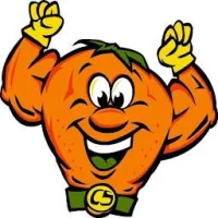 CitruSolution Carpet Cleaning Logo