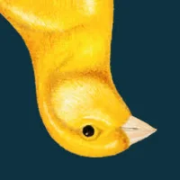 De Gele Kanarie Logo