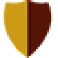 Desert Shield Security Logo