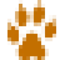 Digital Cheetah Logo