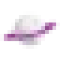 Digital Gravity Logo