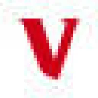 Digital Vanguard Logo