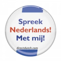 Direct Dutch Institute Logo