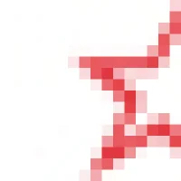 Direct Repair Services Logo