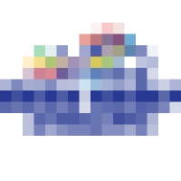 Down Under Cruise and Dive Logo