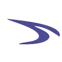 Dynamic Power Services Logo