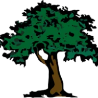 Emerald Tree & Shrub Care Logo
