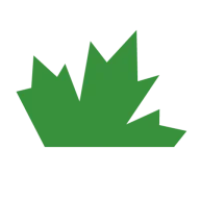 Evergreen College Logo