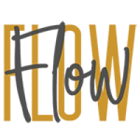 Flow Bristol Logo