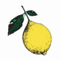 Flower Child Logo
